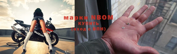 a pvp Новозыбков