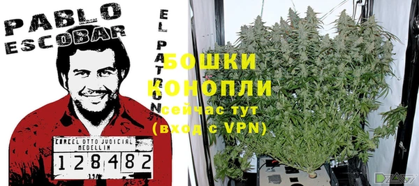 a pvp Новозыбков