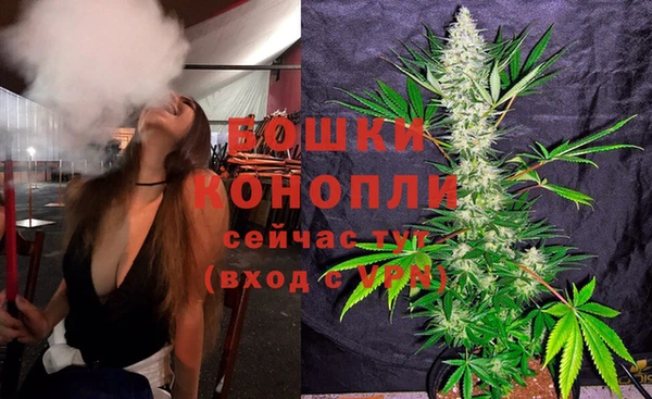 a pvp Новозыбков