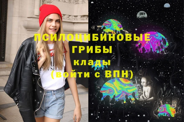 тгк Новокубанск